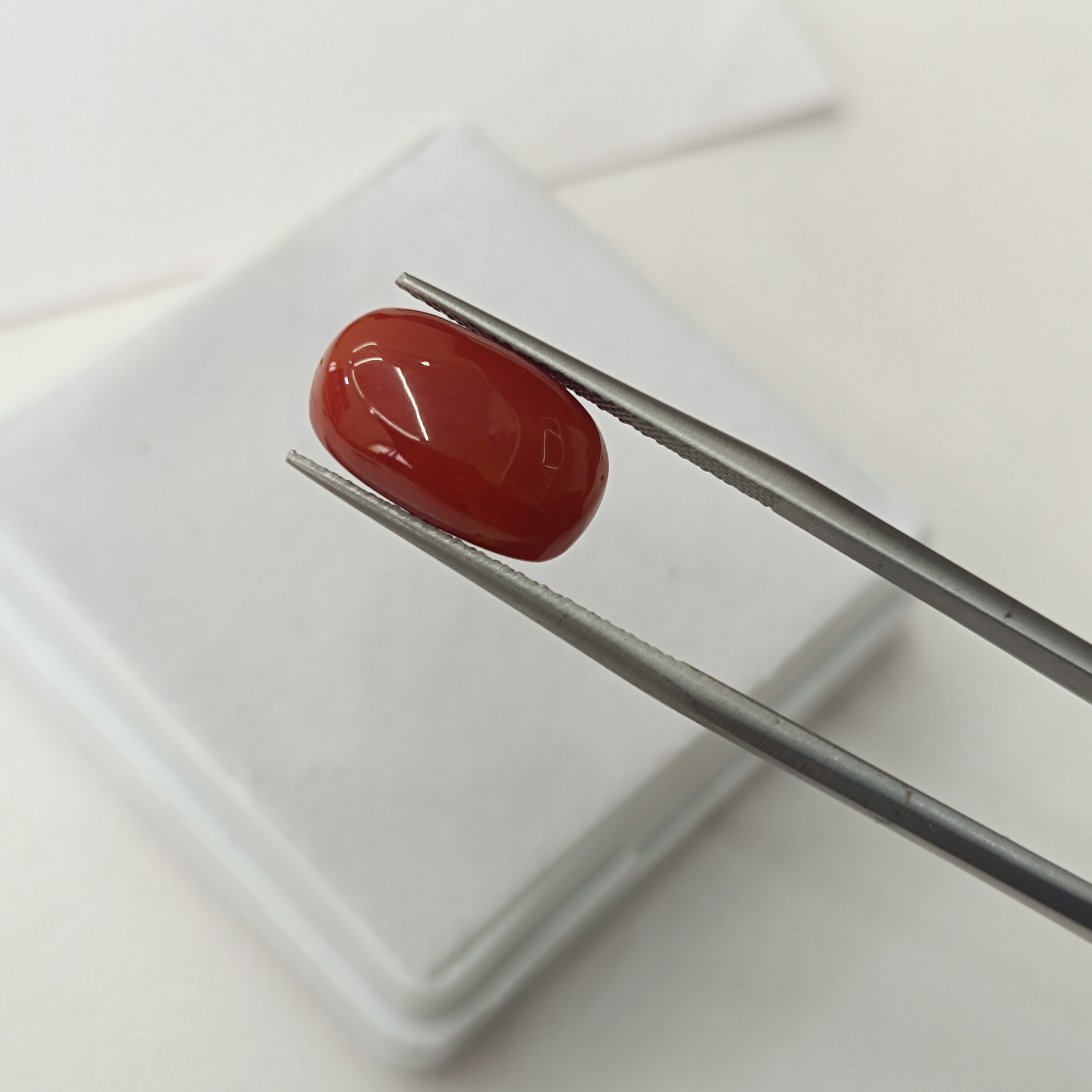 Natural coral 6.02 carat 